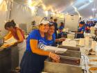 Hard working volunteers at St Demetrios Greek Fest in Elmhurst