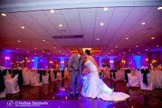 Happy newlyweds at D'Andrea Banquets & Conference Center in Crystal Lake