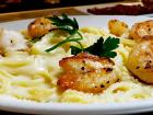 The famous shrimp fettuccine at Ellwood Steak and Fish House in DeKalb