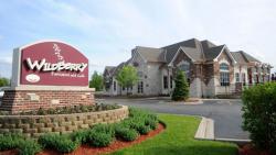 Wildberry Pancakes and Cafe in Libertyville