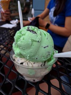 Petersen Ice Cream in Oak Park